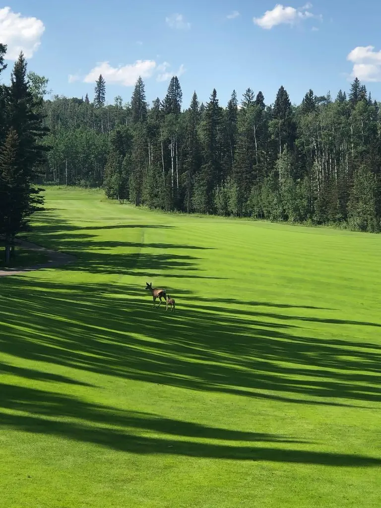 38 Sunrise Way Priddis Greens AB T0L 1W3