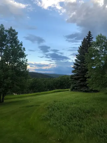 38 Sunrise Way Priddis Greens AB T0L 1W3