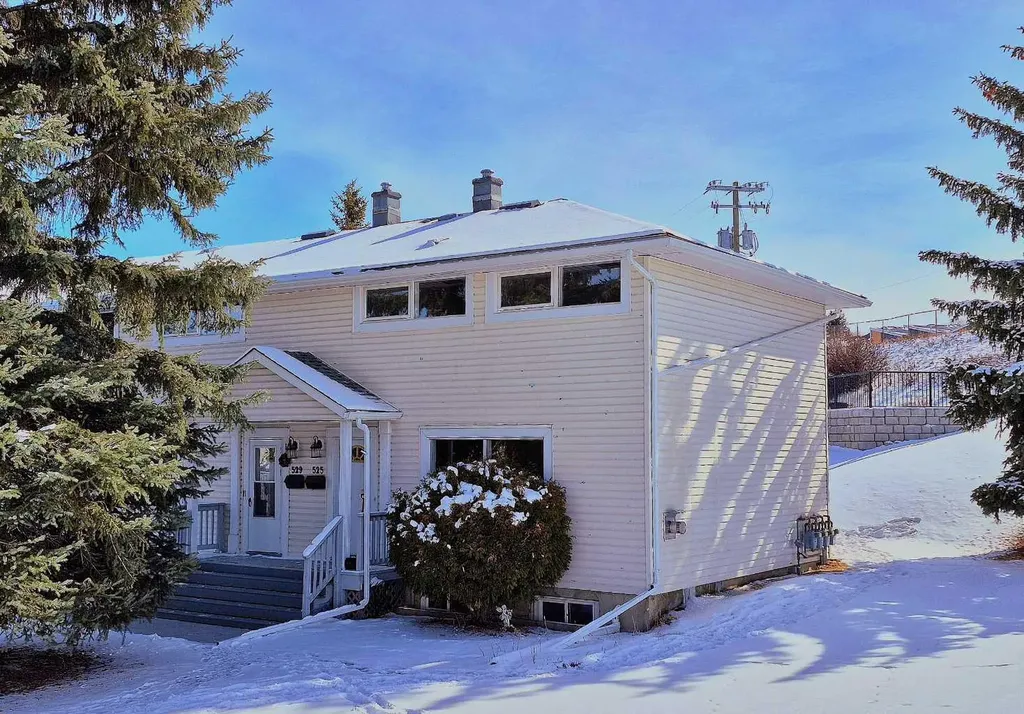 525 32 Avenue NE Calgary AB T2E 2H3
