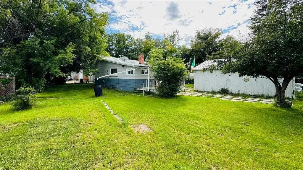 1133 300 Newcastle Place Drumheller AB T0J 0Y2