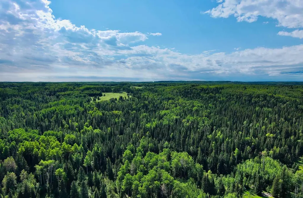 201 James River Ridge Rural Clearwater County AB T0M 1C0