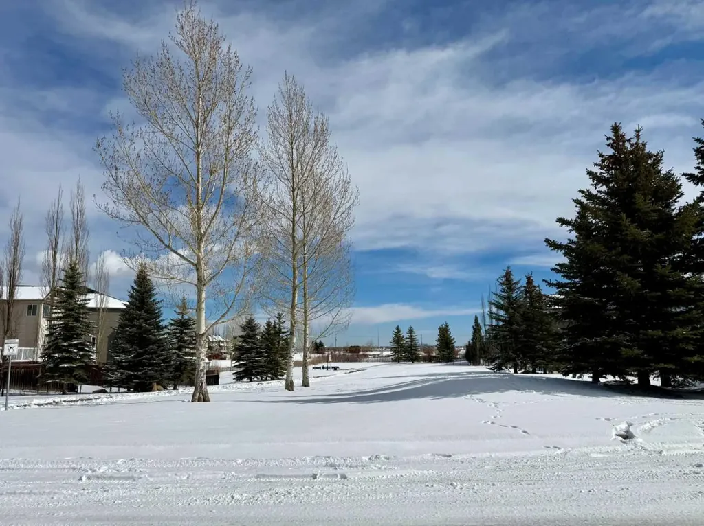 85 Silverado Range View SW Calgary AB T2X 0E1