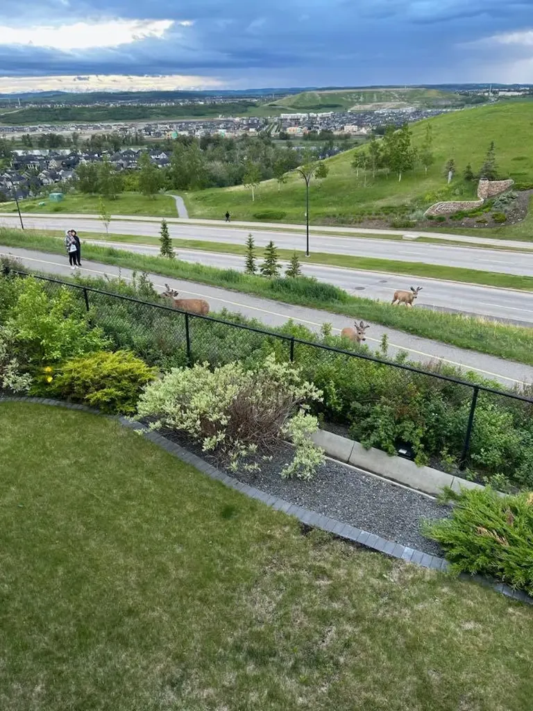187 Cranarch Circle SE Calgary AB T3M0S4
