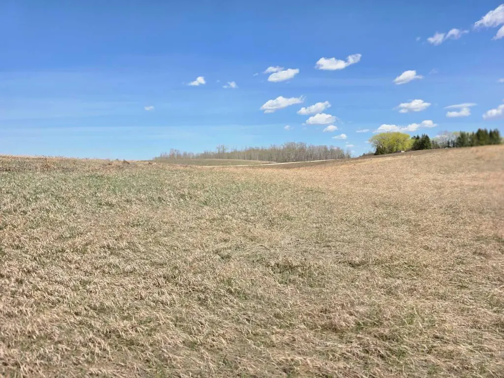 #7 C&e Trail North Of Blackfalds Rural Lacombe County AB T0M 0J0