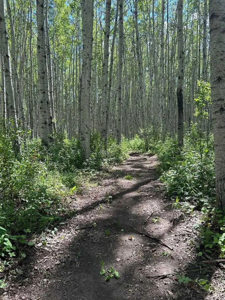 69565 Range Road 65 Grovedale AB T0H 1X0
