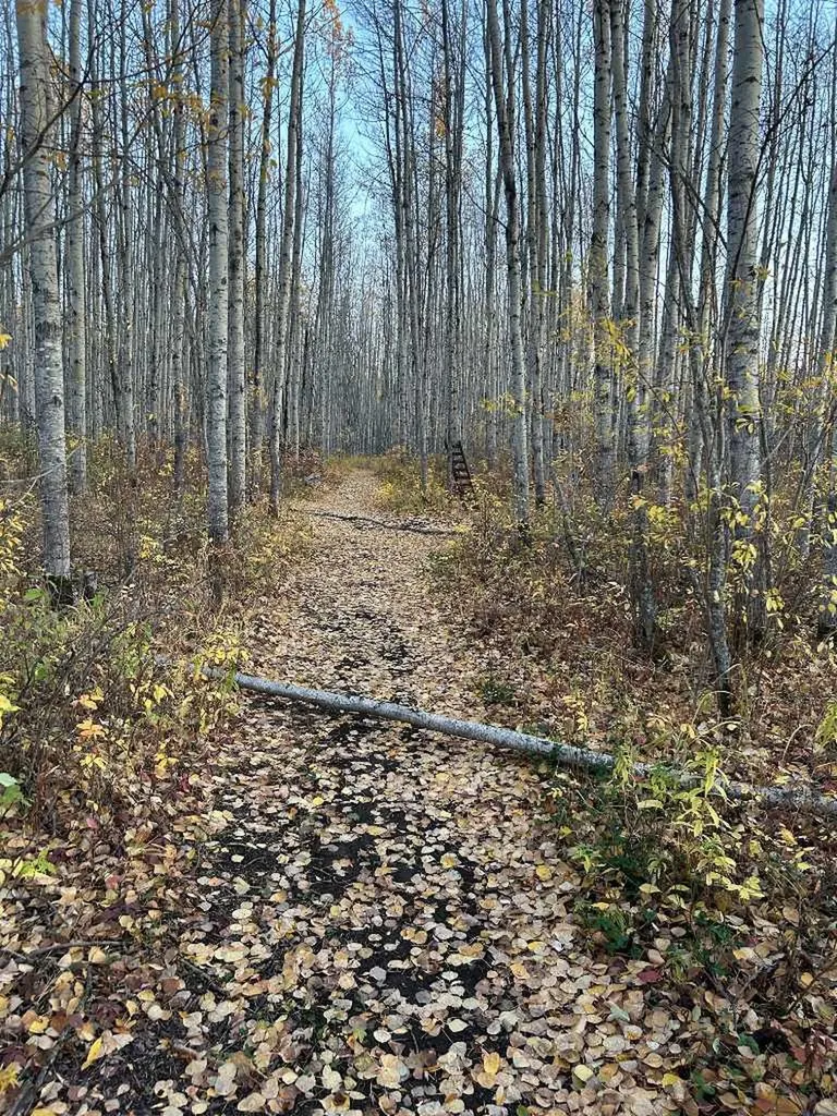 69565 Range Road 65 Grovedale AB T0H 1X0