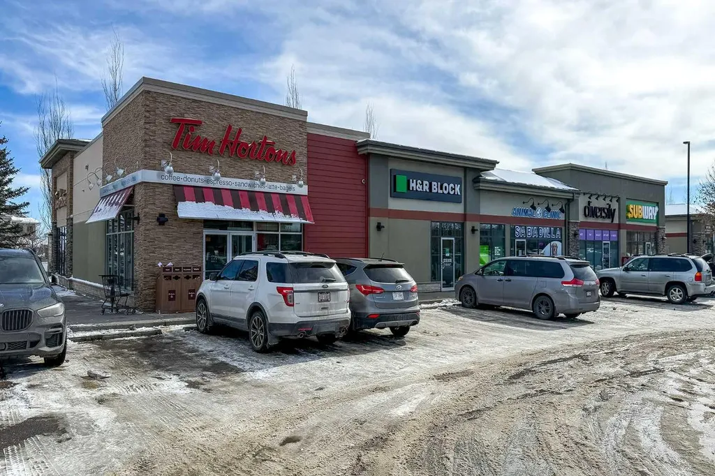 91 Bridlecrest Street SW Calgary AB T2Y 4Y8