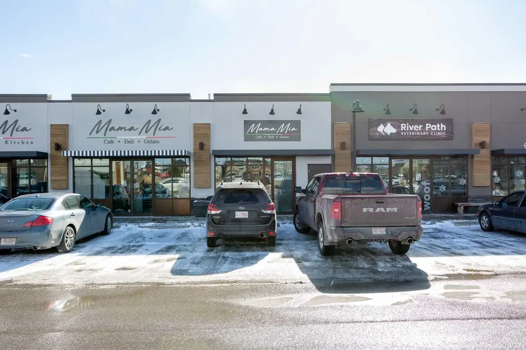 250 Fireside View Cochrane AB T4C2M2