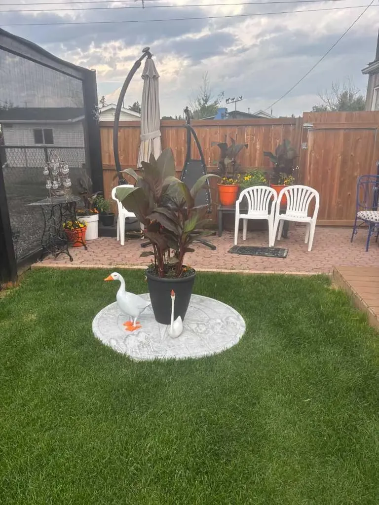 5062 50 Avenue Stavely AB T0L 1Z0
