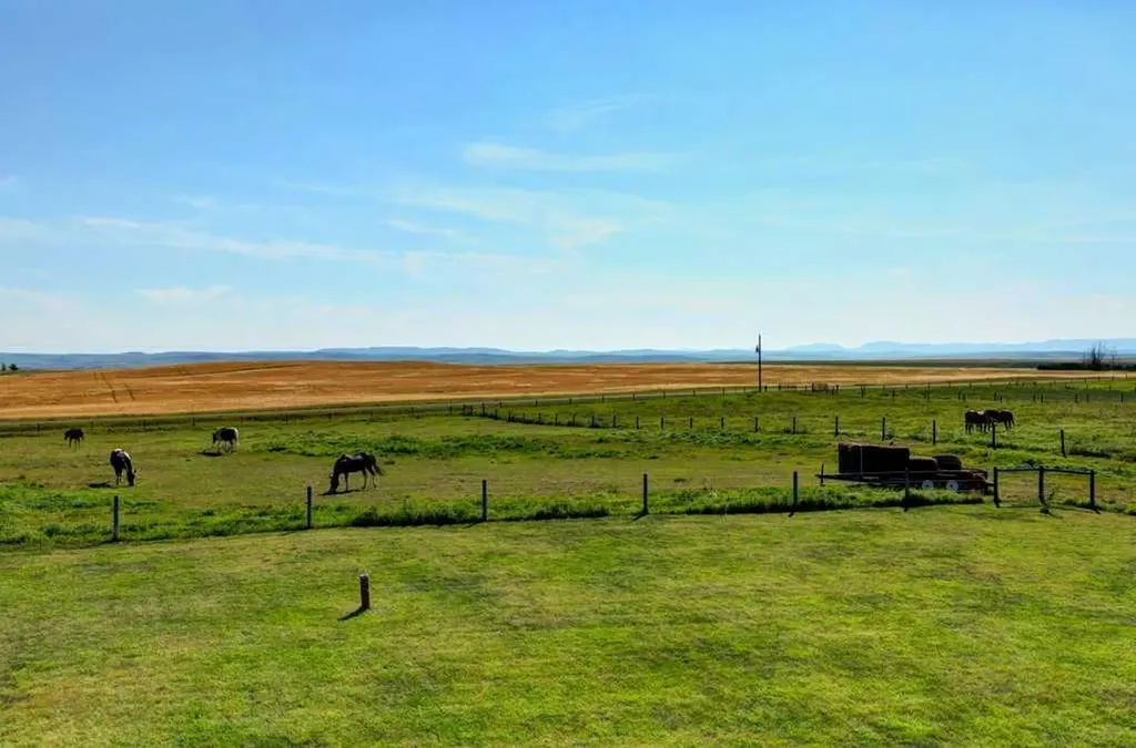 642243 72 Street E Rural Foothills County AB T0L0P0