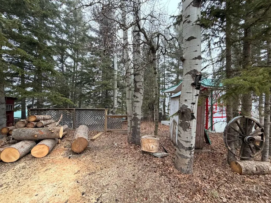 617 3 Street Rural Cypress County AB T0J 1C0