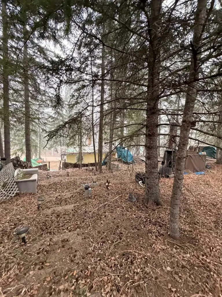 617 3 Street Rural Cypress County AB T0J 1C0