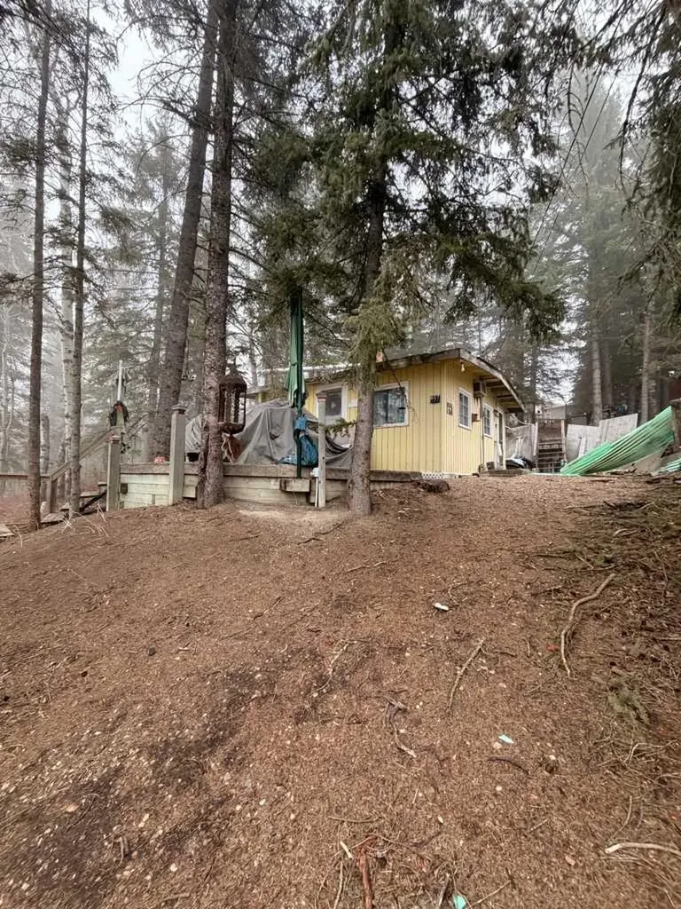 617 3 Street Rural Cypress County AB T0J 1C0