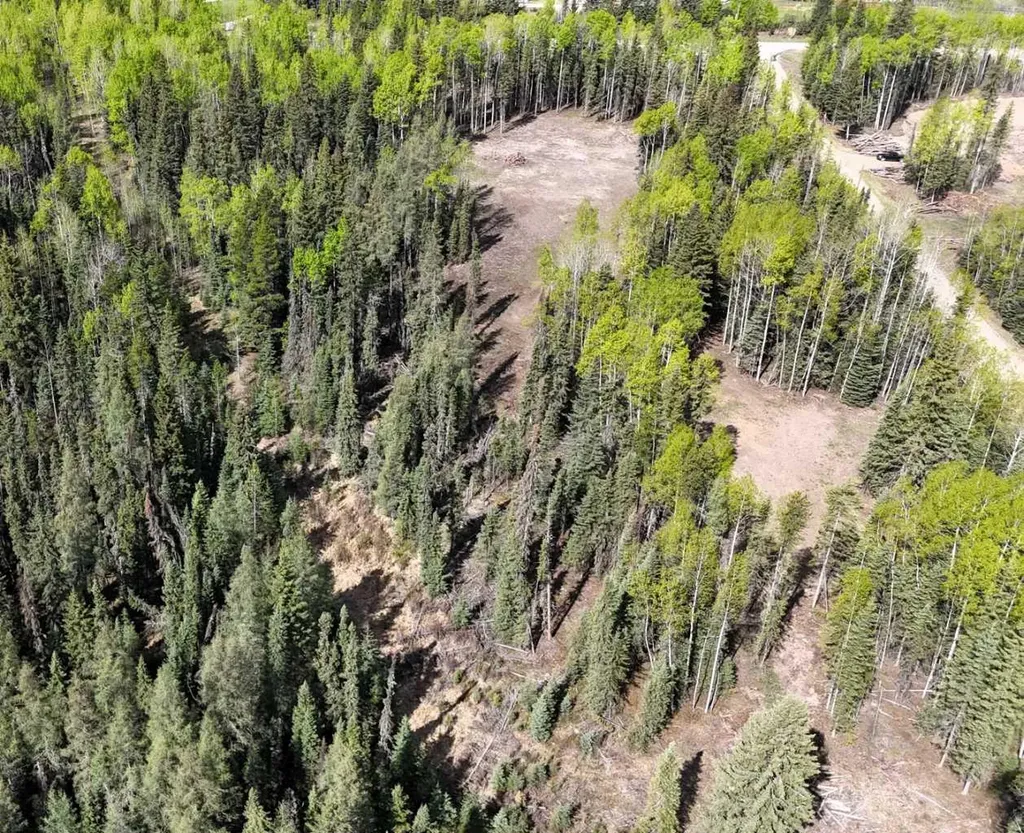 Lot 2 Range Road 180 Rural Yellowhead County AB T7E 3M2