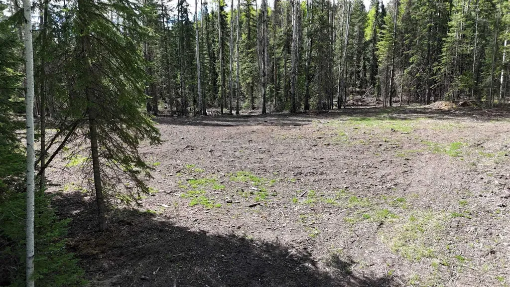 Lot 2 Range Road 180 Rural Yellowhead County AB T7E 3M2