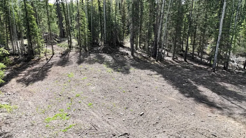 Lot 2 Range Road 180 Rural Yellowhead County AB T7E 3M2