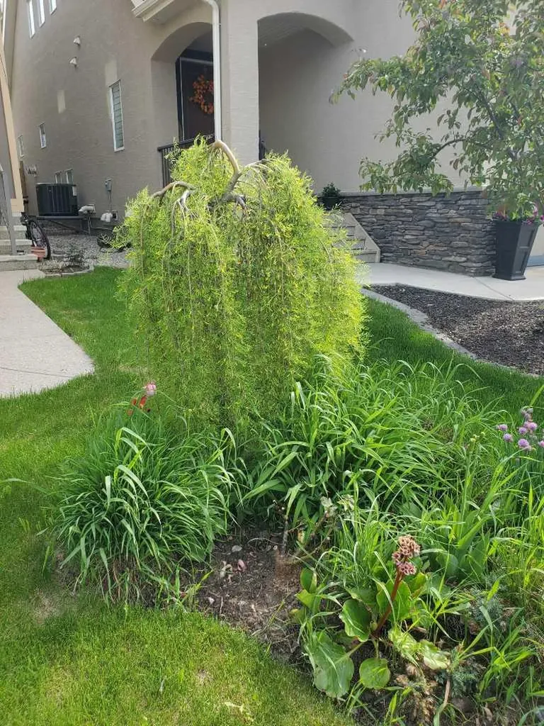 386 Mahogany Terrace SE Calgary AB T3M 0X4