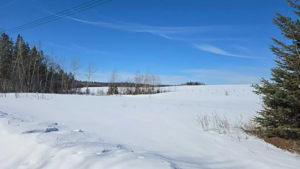 #114 15421 Old Trail Plamondon AB T0A 2T0