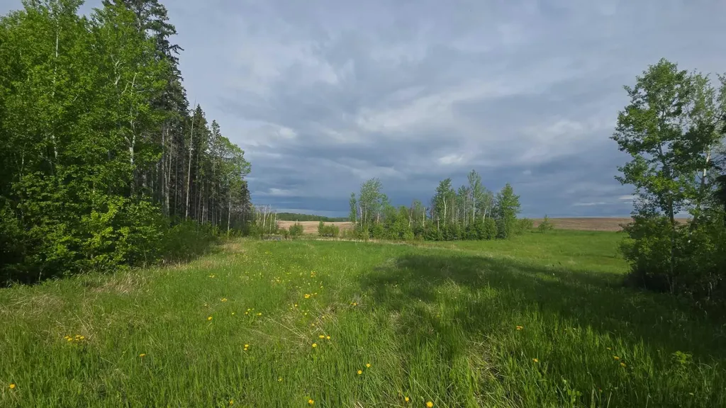 #118, 15421 Old Trail Plamondon AB T0A 2T0