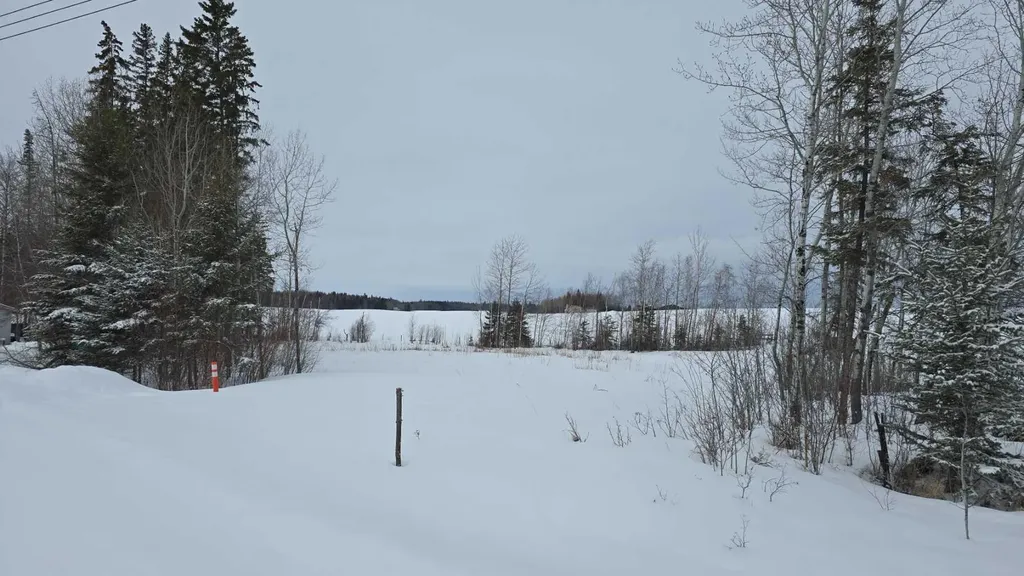 #118, 15421 Old Trail Plamondon AB T0A 2T0