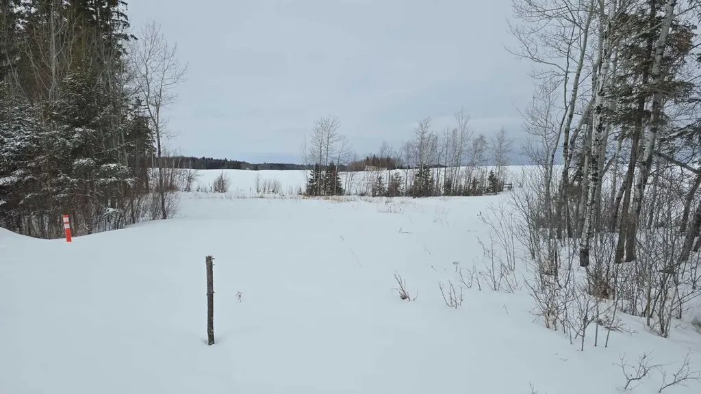 #118, 15421 Old Trail Plamondon AB T0A 2T0