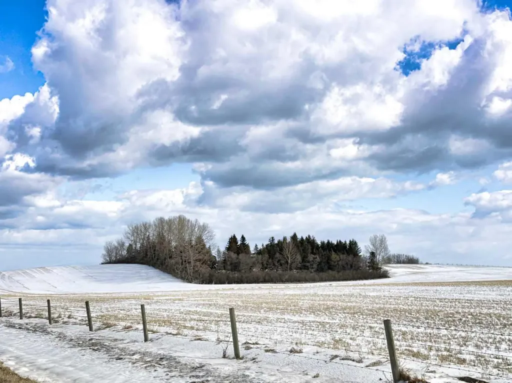 NE 11-33-21 W5th Rural Mountain View County AB T4H 1P0