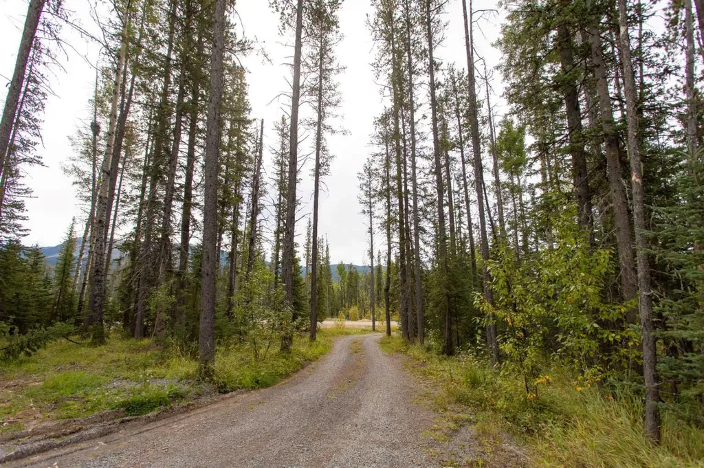 1254 Tamarack Trail Nordegg AB T0M 0C6
