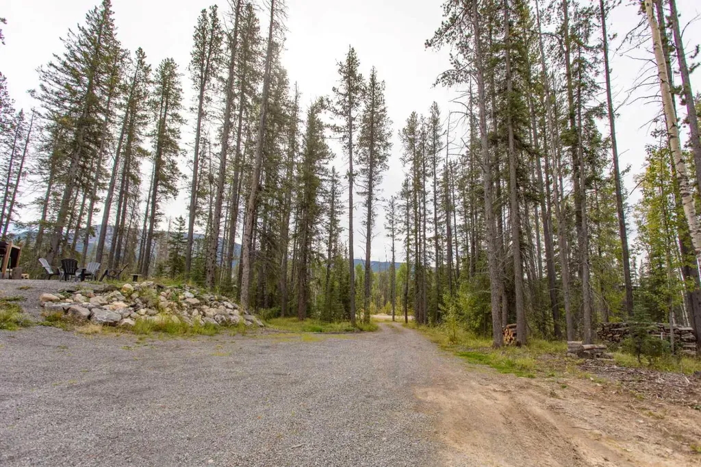 1254 Tamarack Trail Nordegg AB T0M 0C6