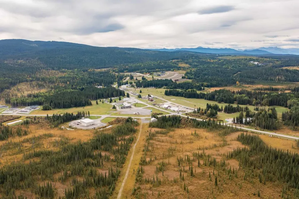 1254 Tamarack Trail Nordegg AB T0M 0C6