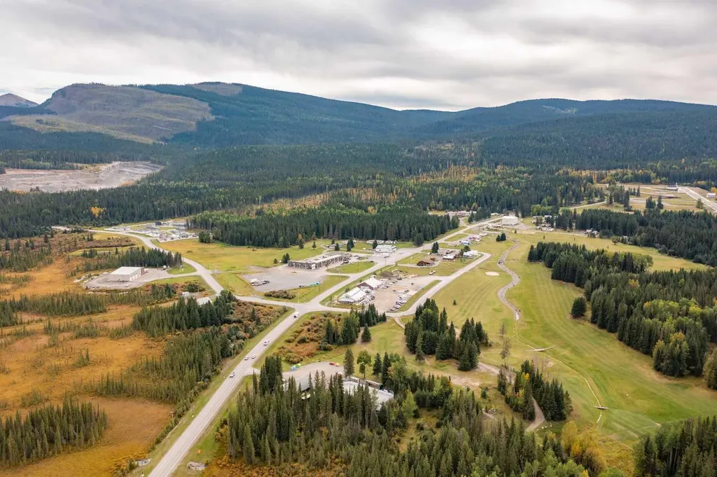 1254 Tamarack Trail Nordegg AB T0M 0C6