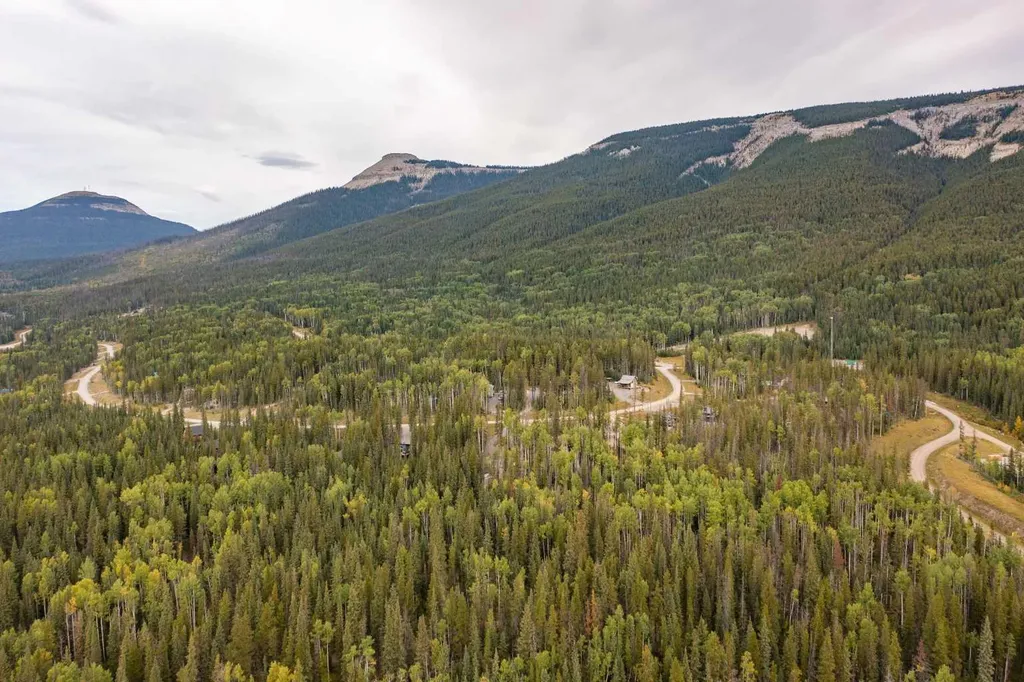 1254 Tamarack Trail Nordegg AB T0M 0C6