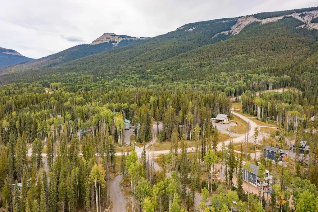 1254 Tamarack Trail Nordegg AB T0M 0C6