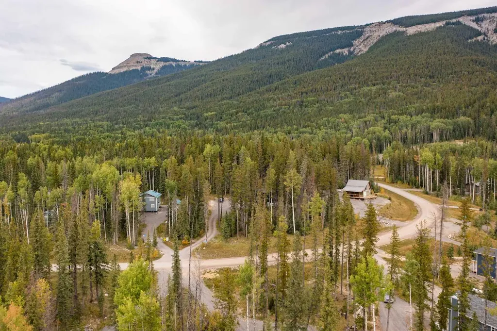 1254 Tamarack Trail Nordegg AB T0M 0C6