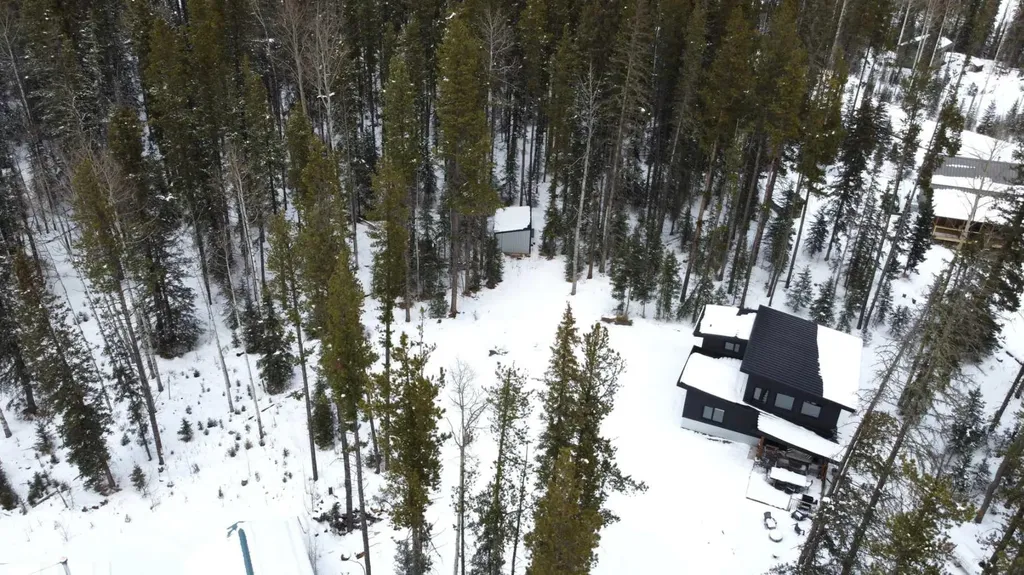 1254 Tamarack Trail Nordegg AB T0M 0C6