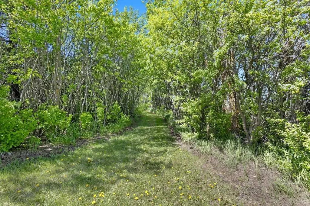430044 Highway 20 Rural Ponoka County AB T0C 2J0