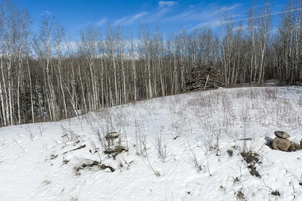 224002 Twp Road 654 Rural Athabasca County AB T9S 1C4