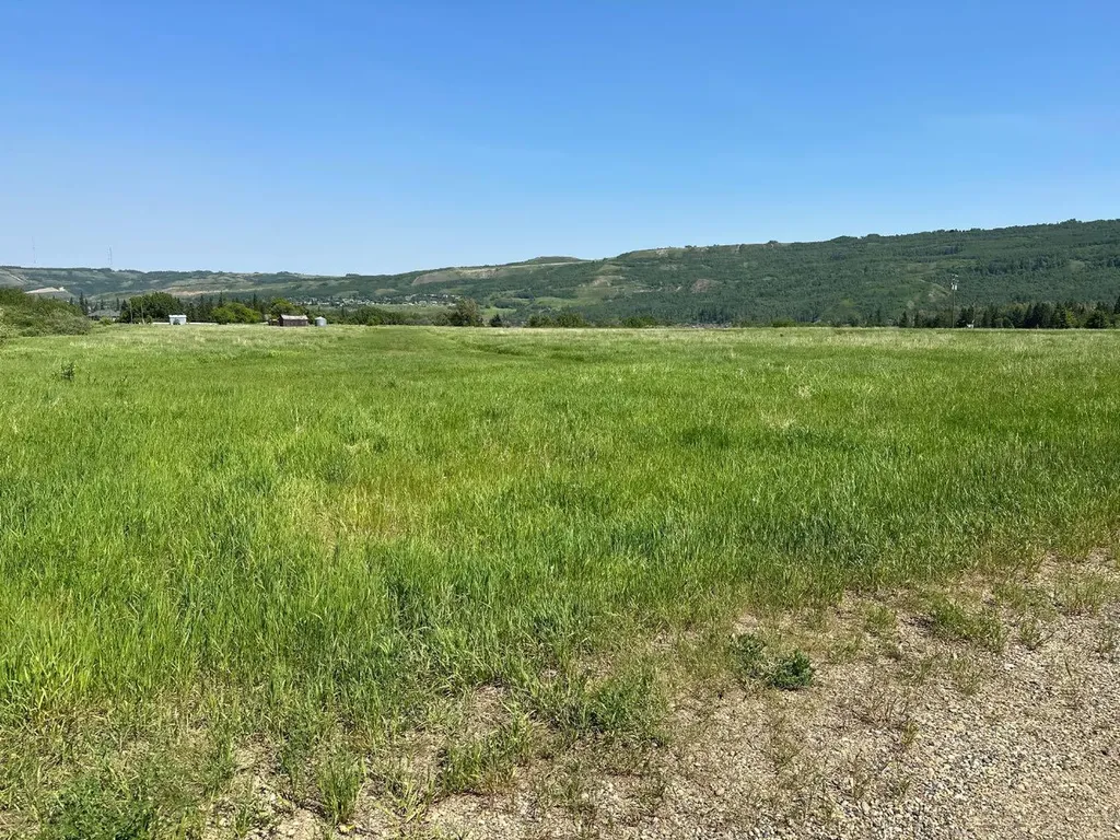 Rl 40 South Of Highway 684 Highway Peace River AB T8S 1X4