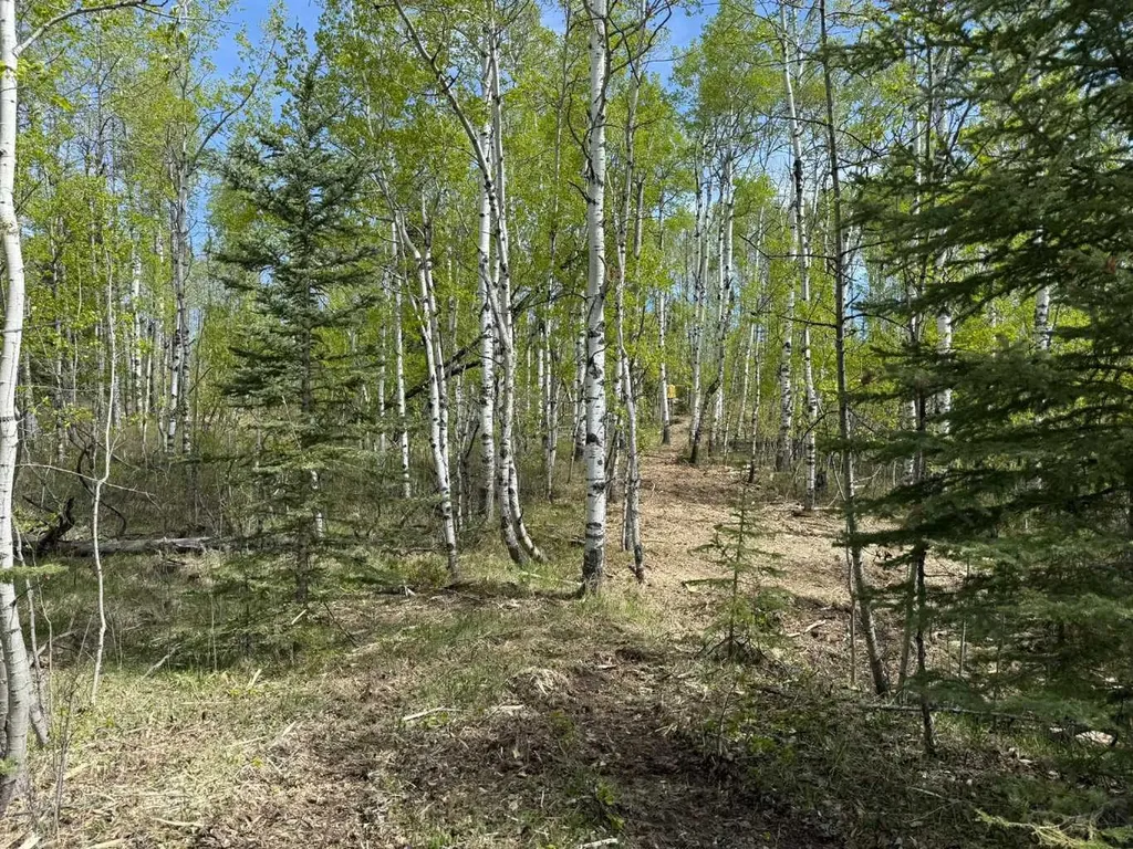 29066 Range Road 52 Rural Mountain View County AB T0M 2E0