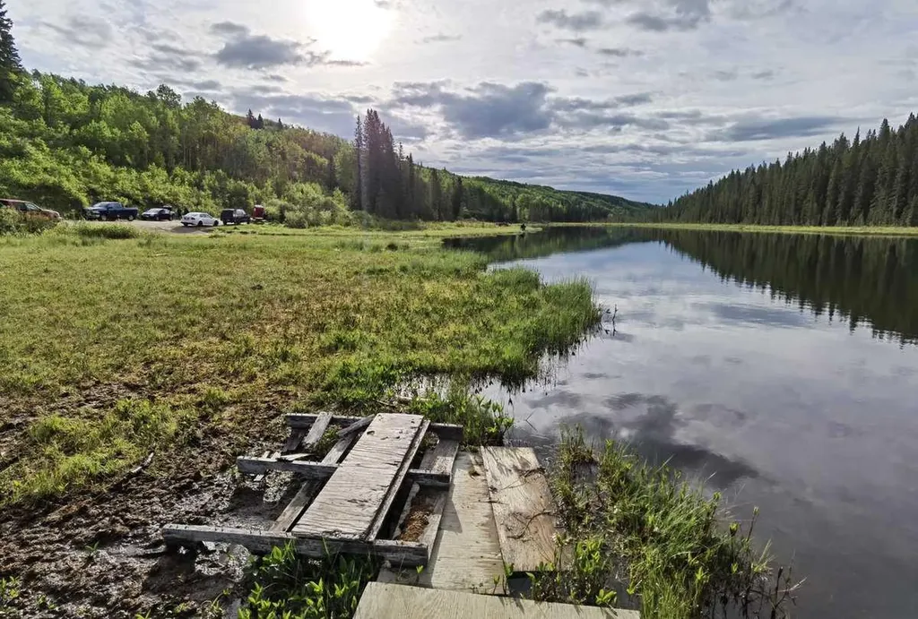 29066 Range Road 52 Rural Mountain View County AB T0M 2E0