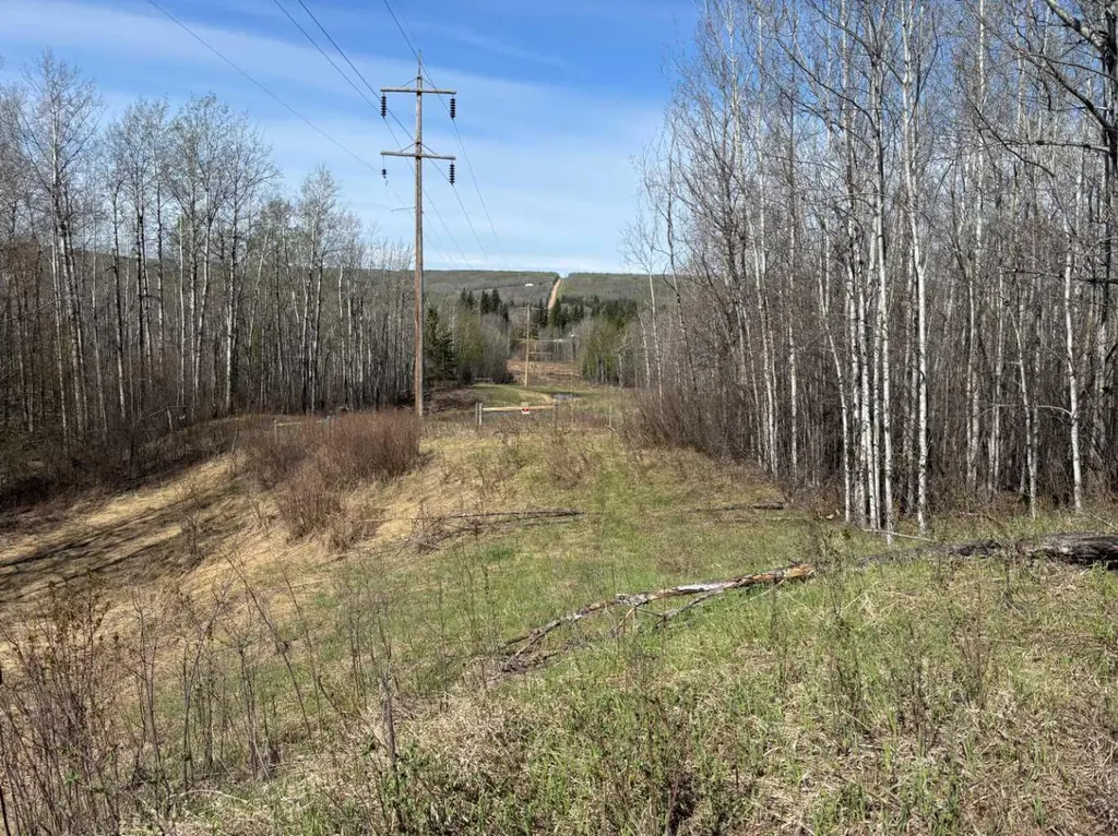 PT-SE-15-65-22-W4 Rural Athabasca County AB T0G 0R0