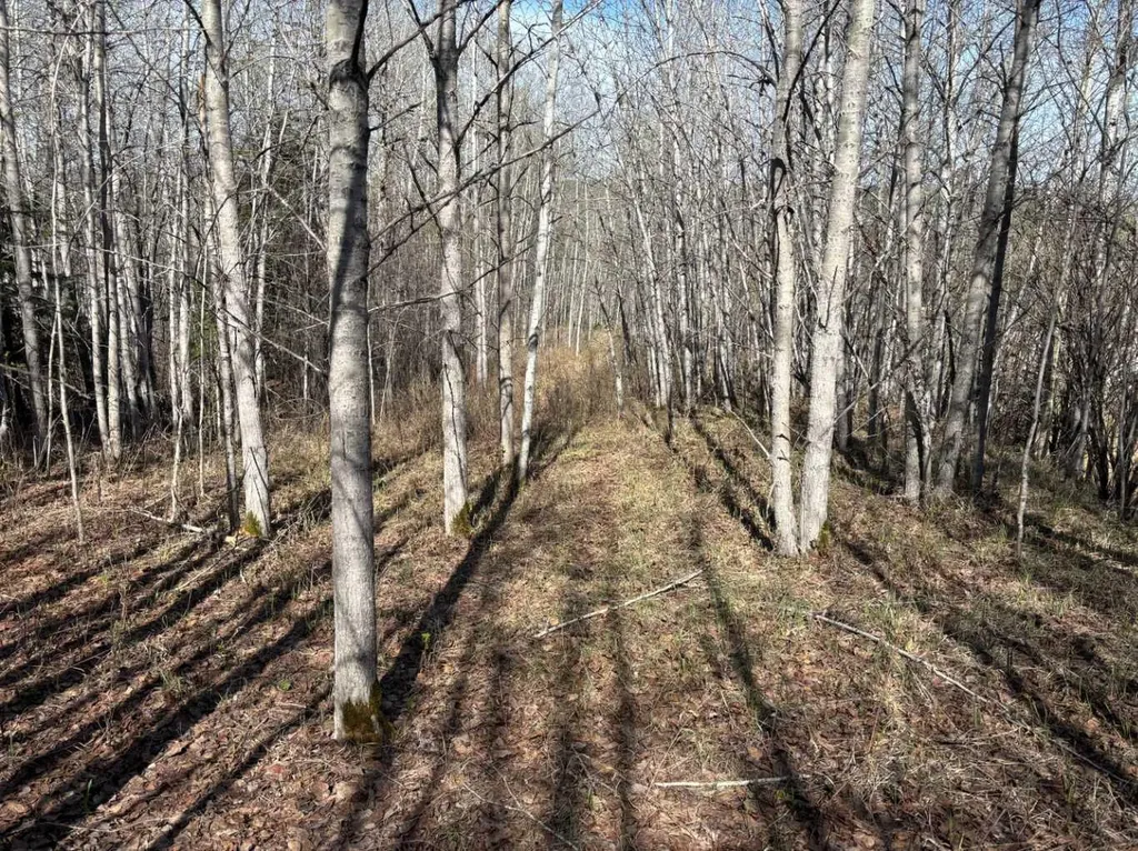 PT-SE-15-65-22-W4 Rural Athabasca County AB T0G 0R0