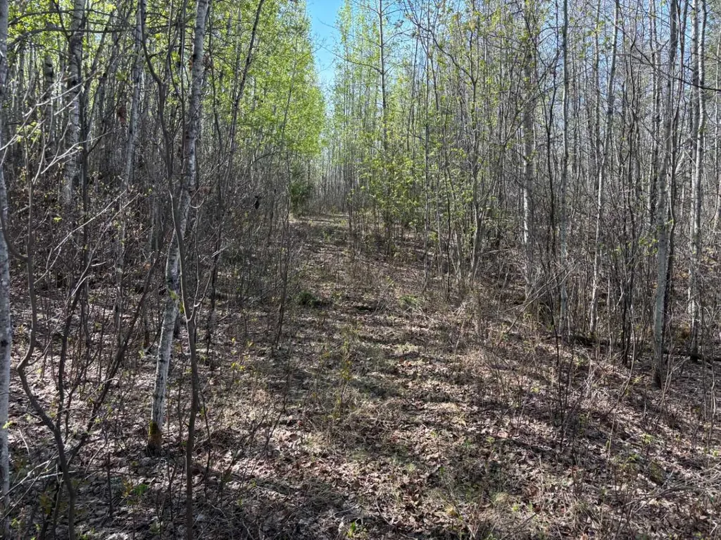 PT-SE-15-65-22-W4 Rural Athabasca County AB T0G 0R0