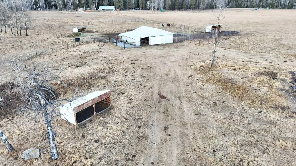31442 Range Road 45 Rural Mountain View County AB T0M 1X0