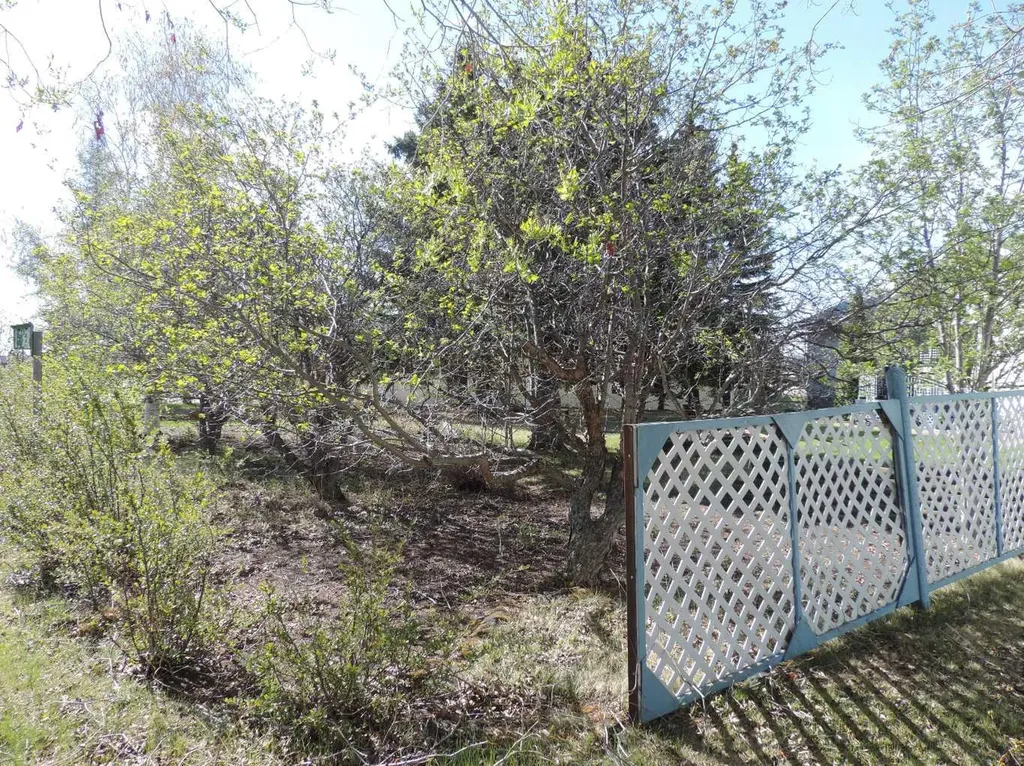 5205 55st Rimbey AB T0C 2J0