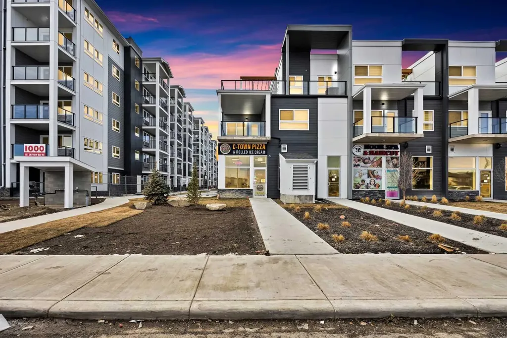 151 Skyview Bay Calgary AB T3N2K3