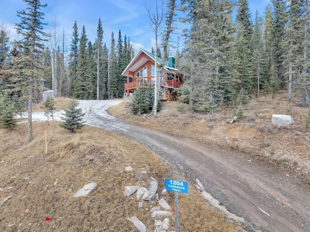 1204 Tamarack Trail Nordegg AB T0M 2H0