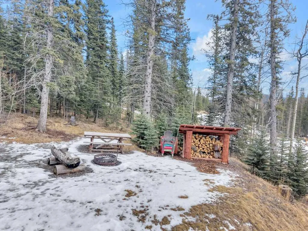 1204 Tamarack Trail Nordegg AB T0M 2H0