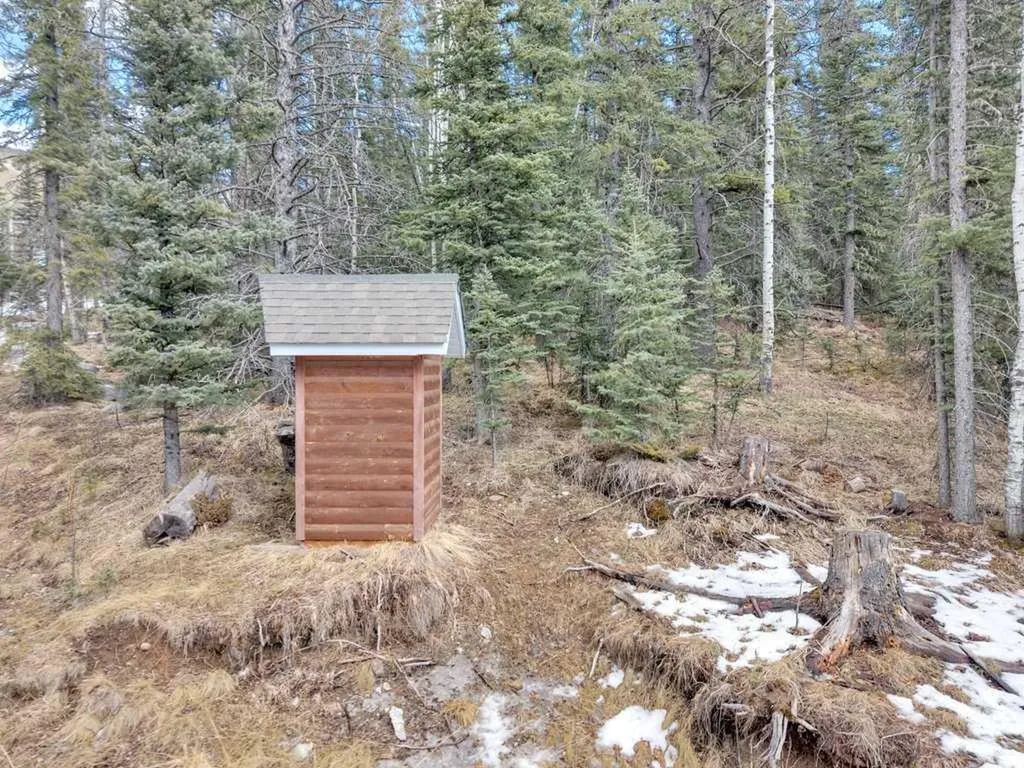 1204 Tamarack Trail Nordegg AB T0M 2H0