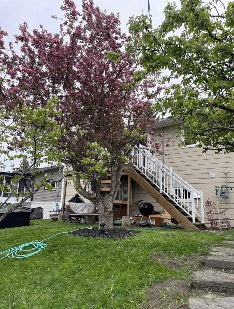 218 8 Avenue NE Sundre AB T0M 1X0