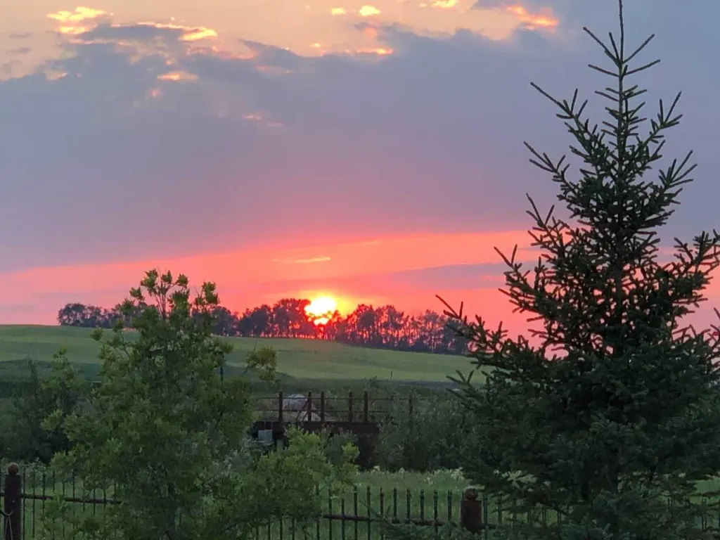 41019 Range Road 11 Rural Lacombe County AB T0C0J1